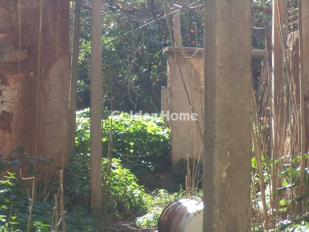 Εξωτερικός Χώρος