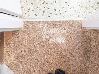 Leptomereia dapedon.