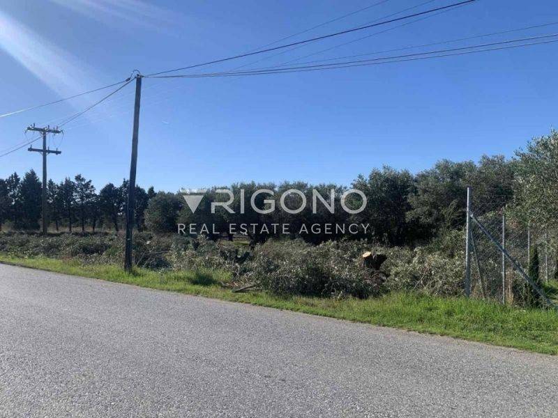 Άποψη χώρου