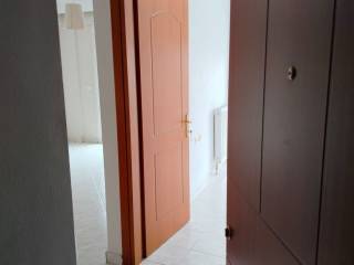 eisodos diamerismatos