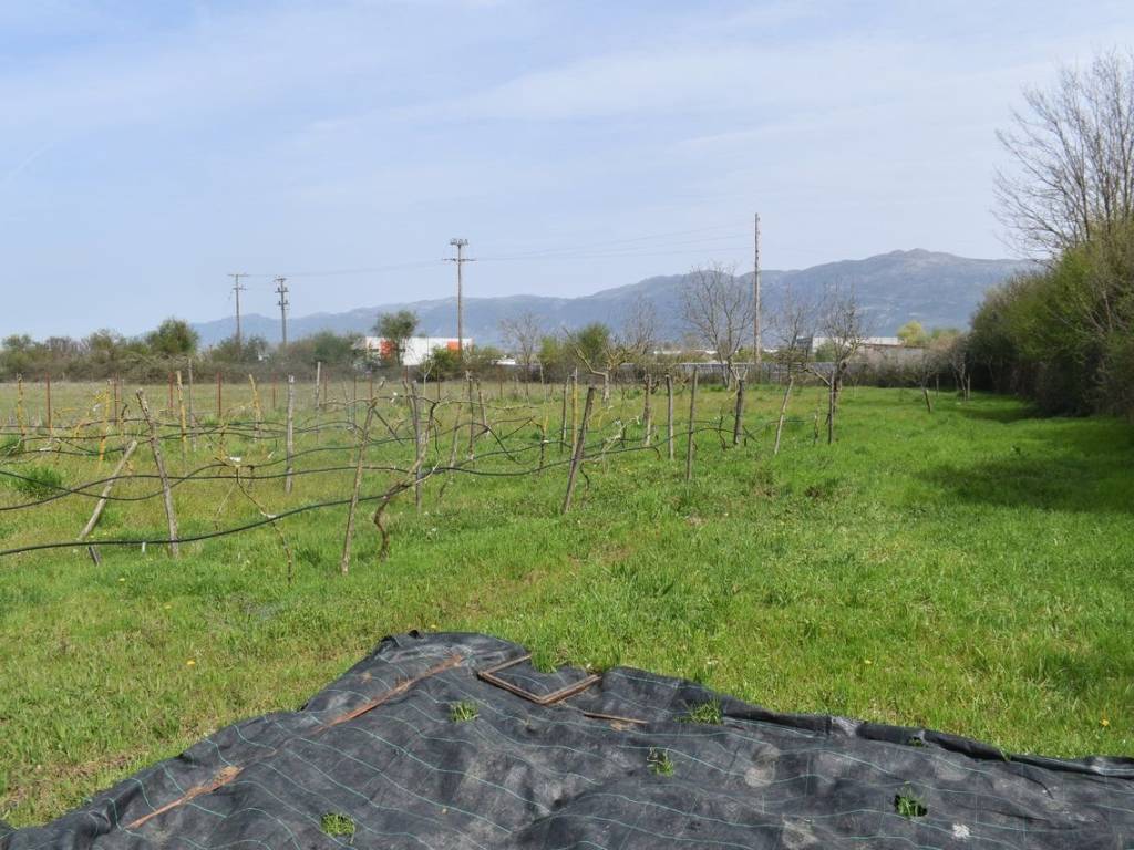 ΑΠΟΨΗ ΑΚΙΝΗΤΟΥ