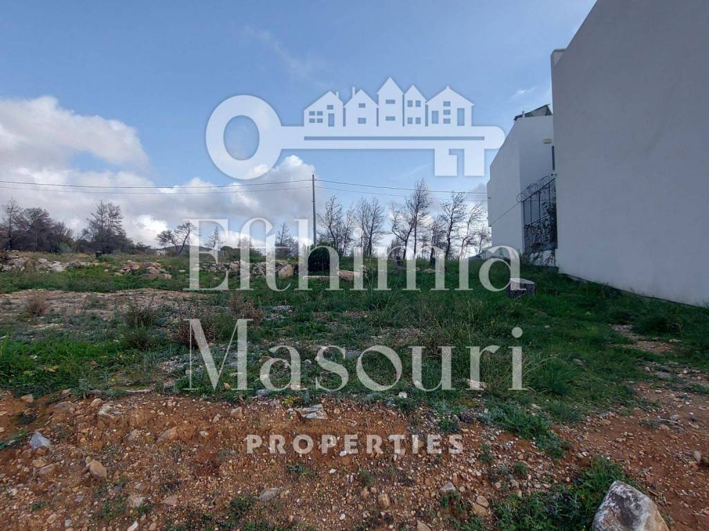 Εξωτερικοι χώροι