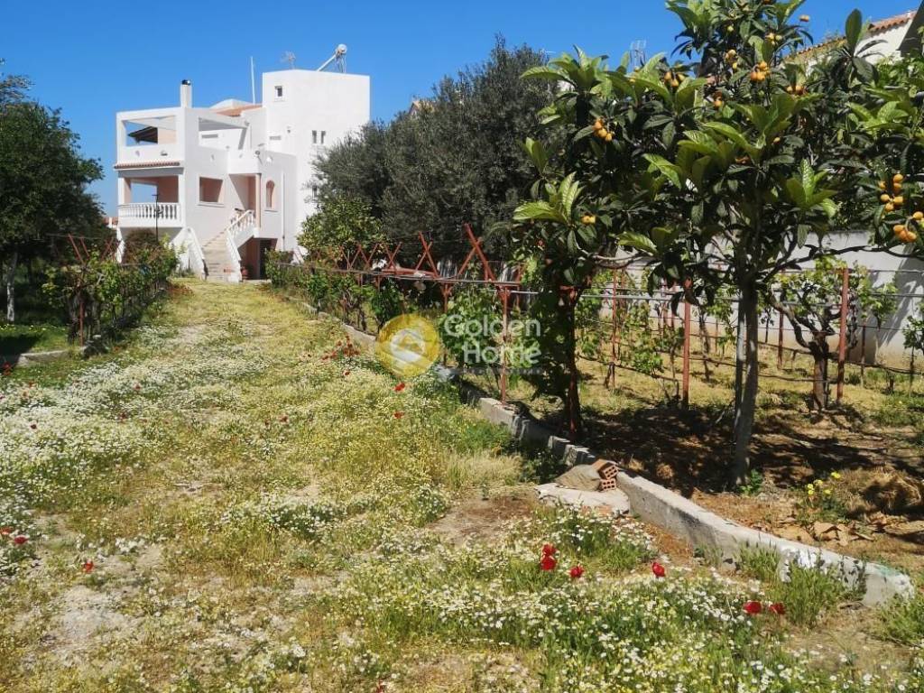 Εξωτερικός Χώρος