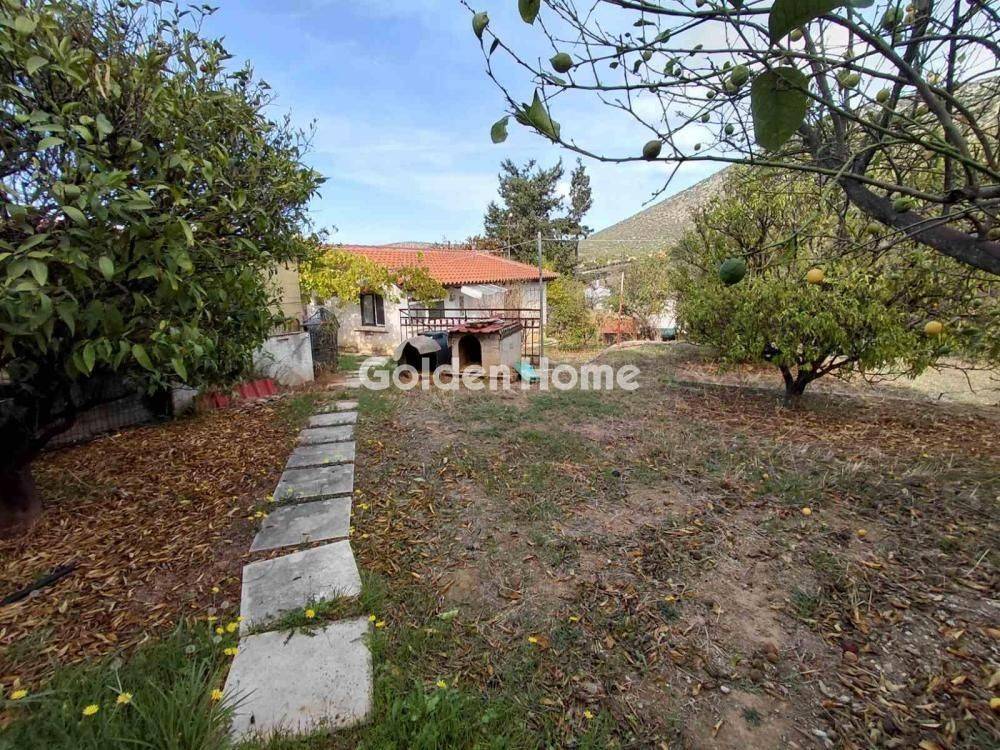 Εξωτερικός Χώρος