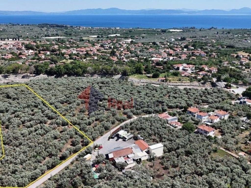 Εξωτερικοι χώροι