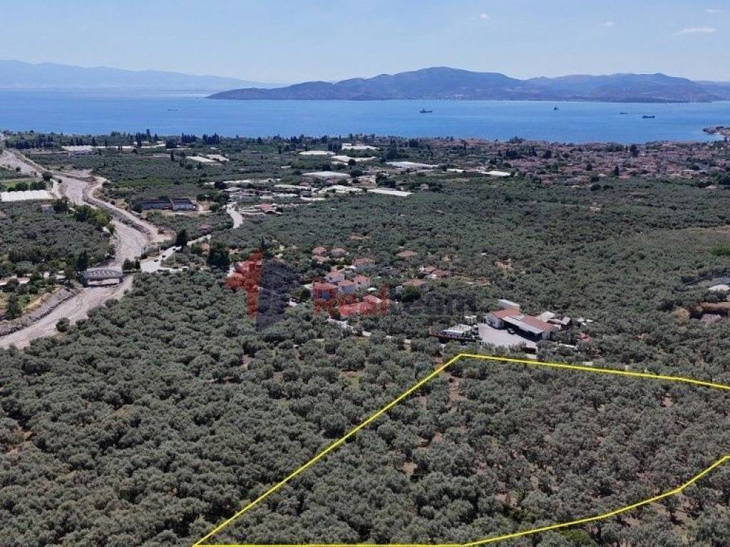 Εξωτερικοι χώροι