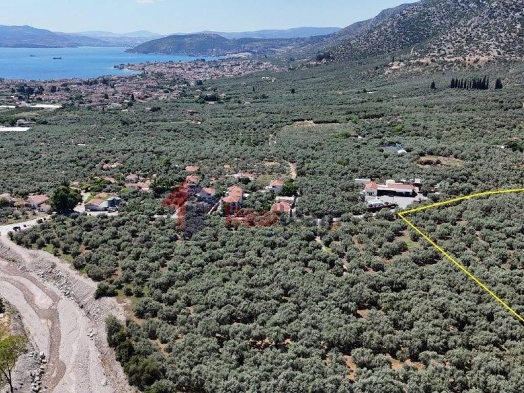 Εξωτερικοι χώροι