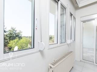 Forumland Real Estate, Koyphomata