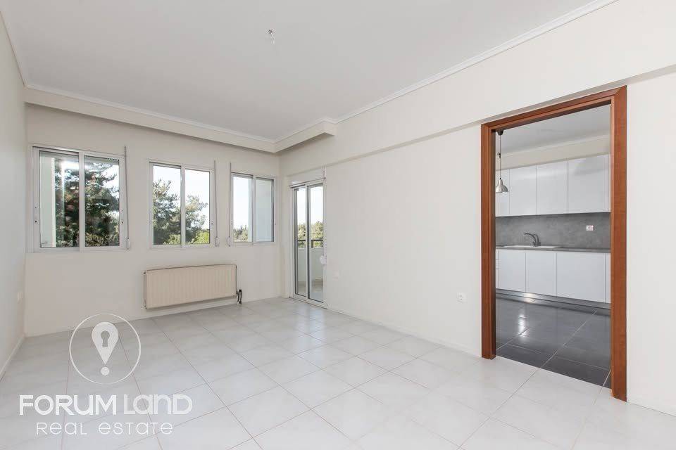 Forumland Real Estate, Saloni