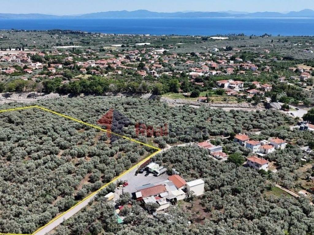 Εξωτερικοι χώροι