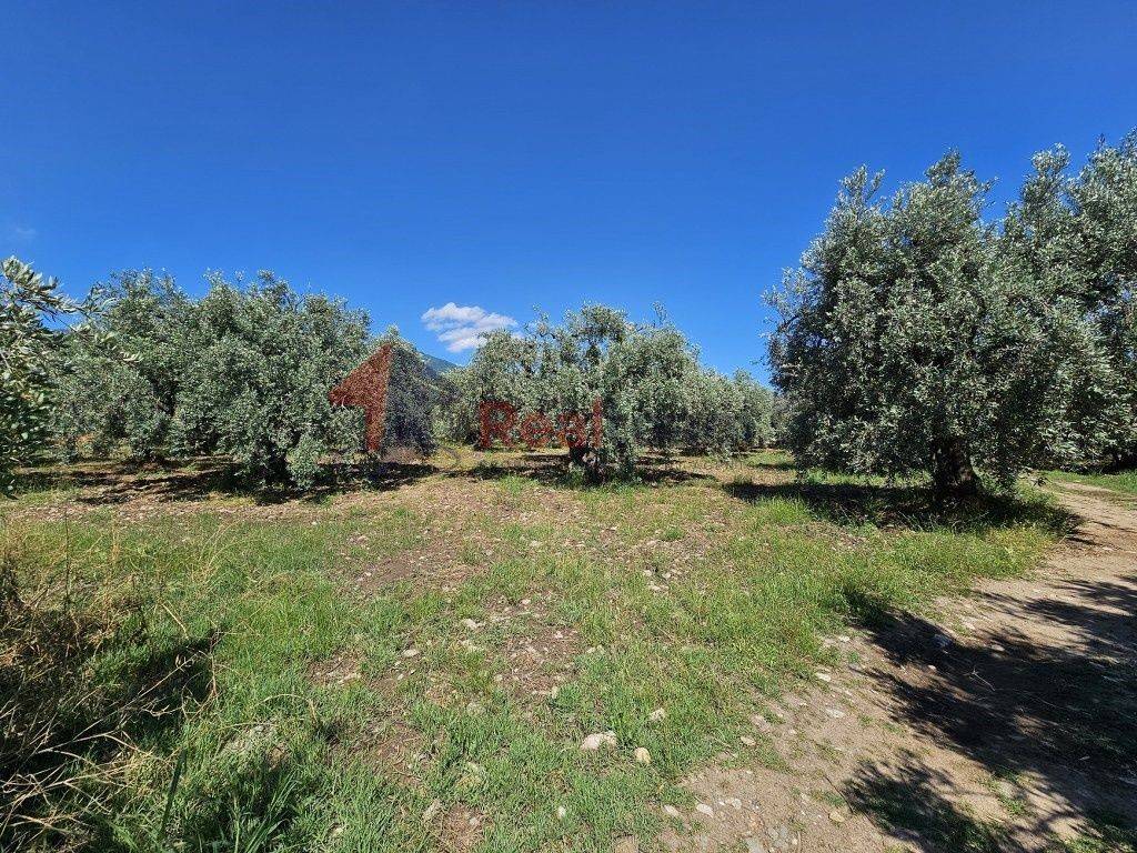 Εξωτερικοι χώροι