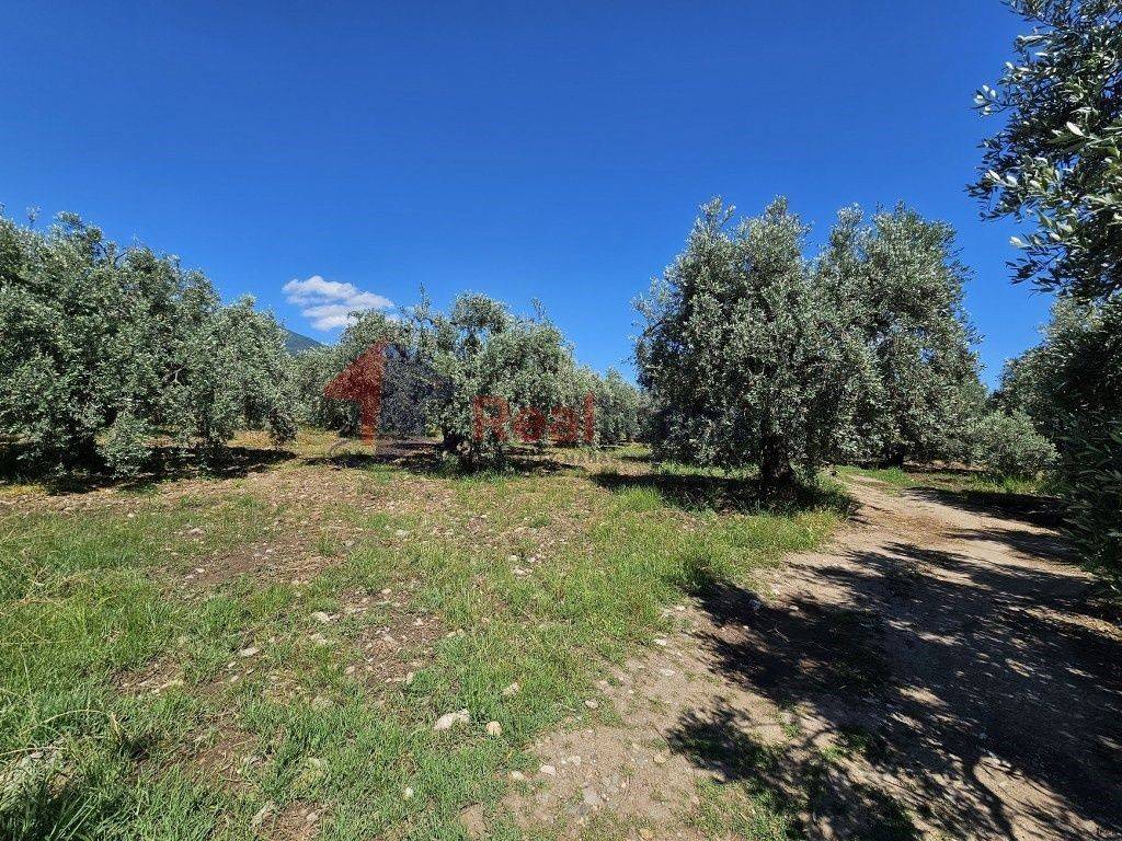 Εξωτερικοι χώροι