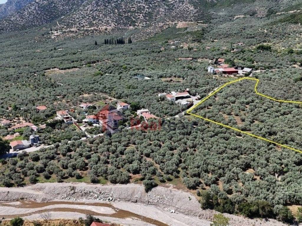 Εξωτερικοι χώροι