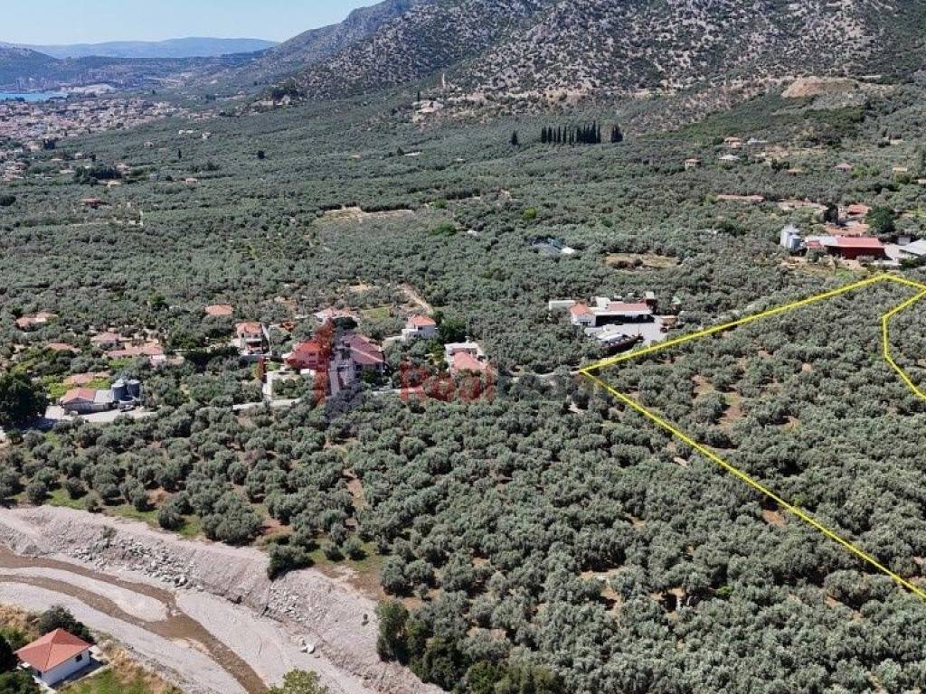 Εξωτερικοι χώροι