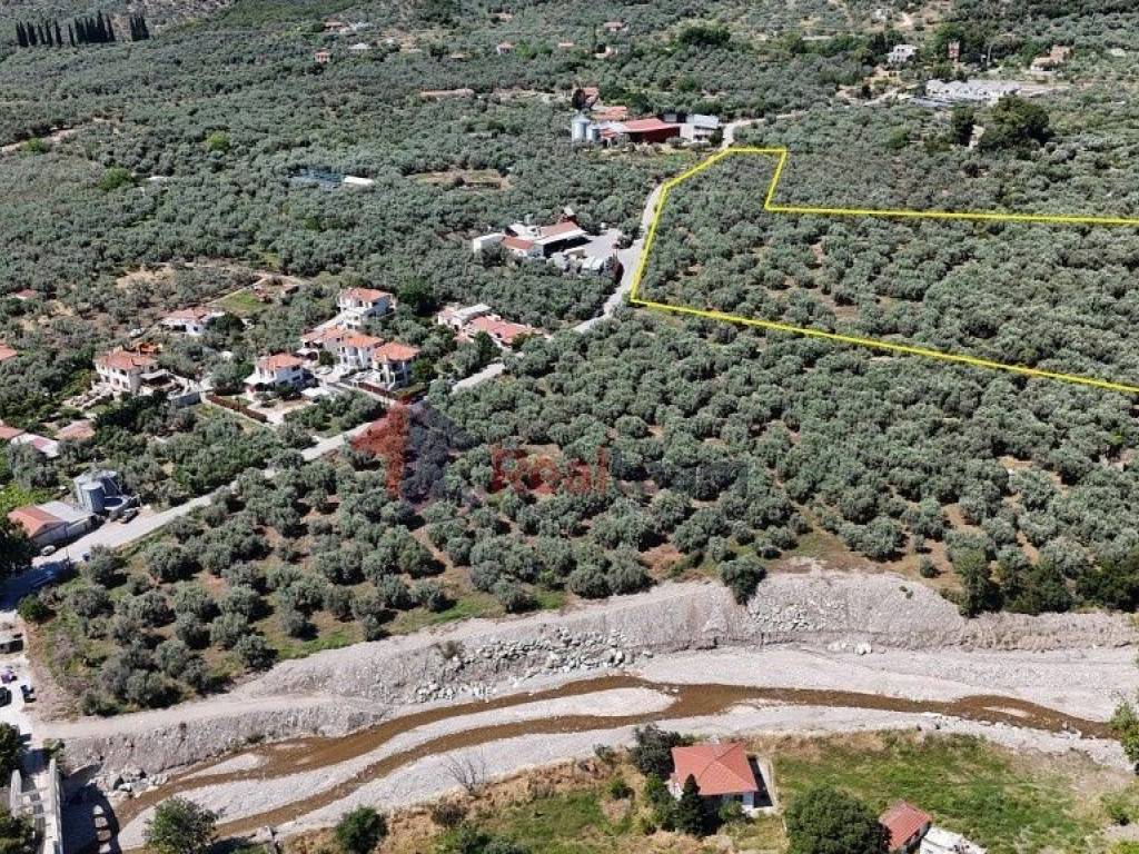 Εξωτερικοι χώροι