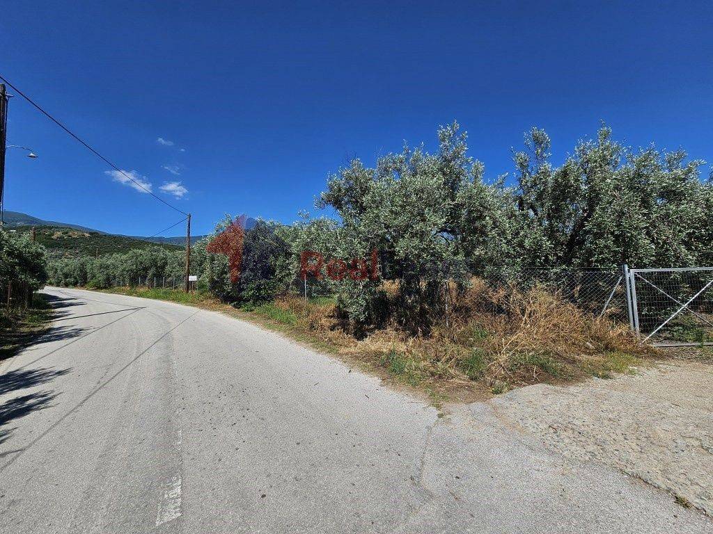 Εξωτερικοι χώροι