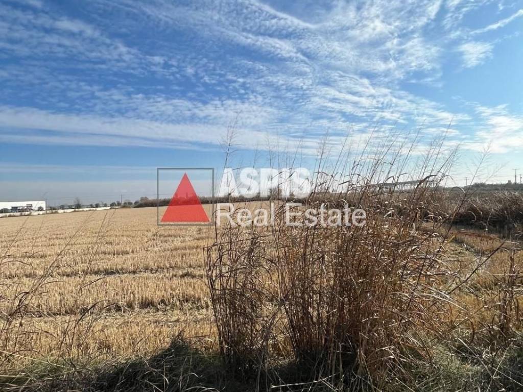 Εξωτερικοι χώροι