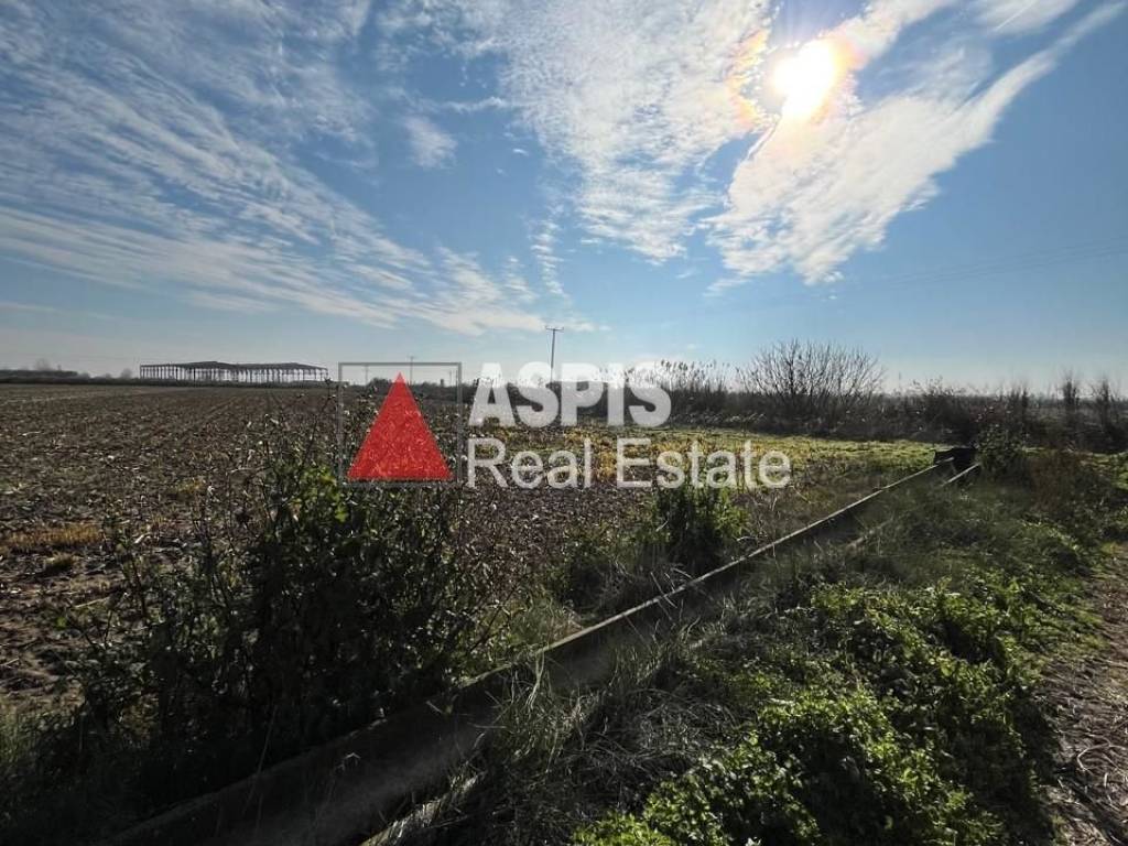 Εξωτερικοι χώροι