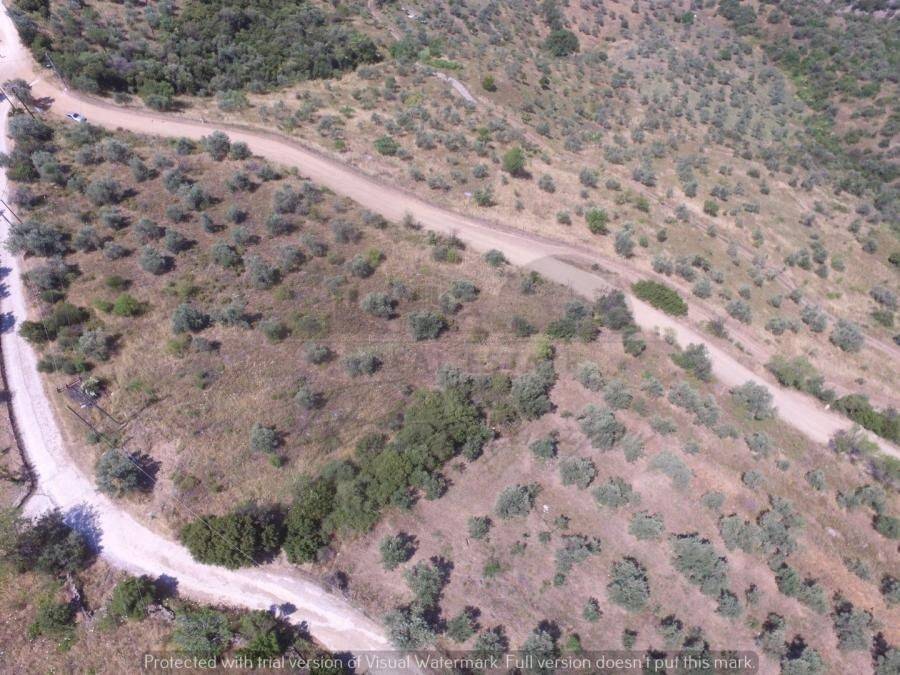 panoramike photographia.