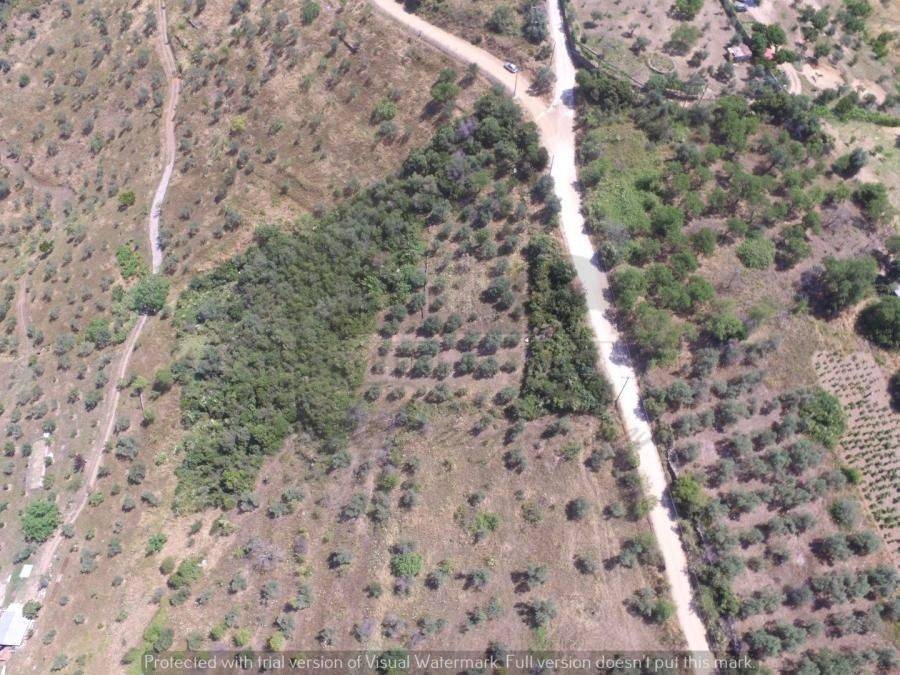 πανοραμική φωτογραφία