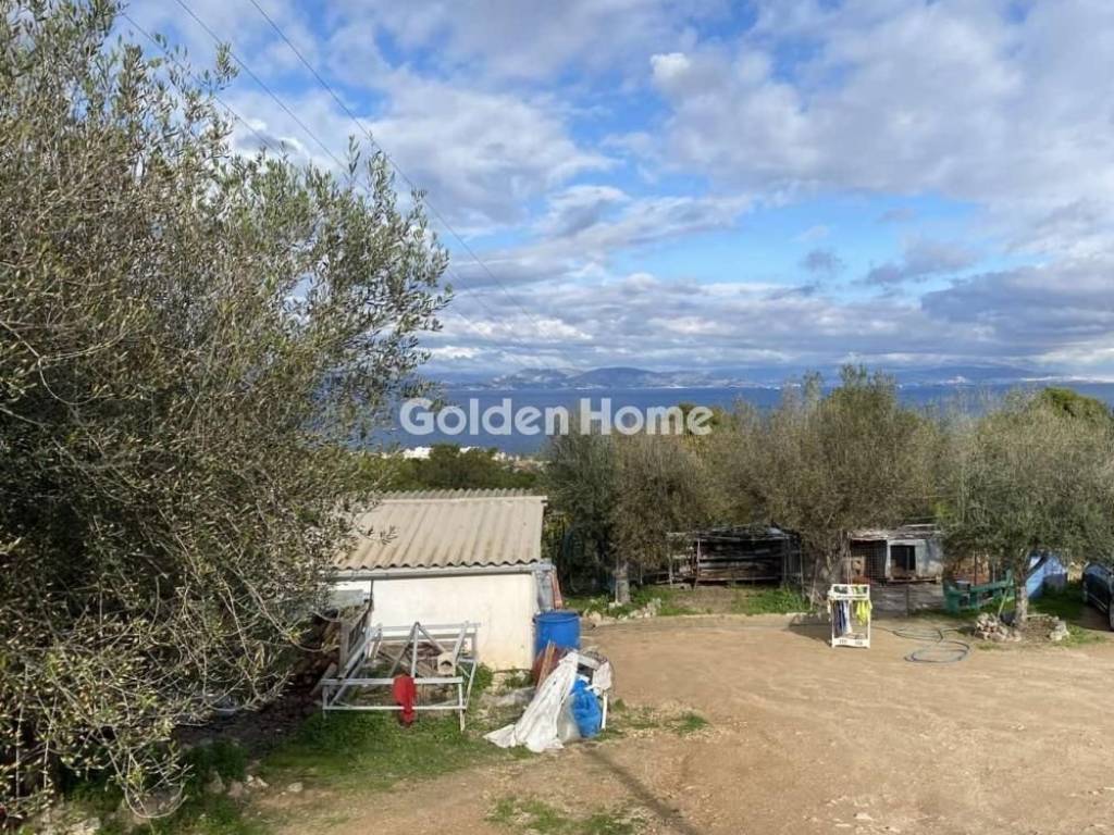 Κυρίως Χώρος