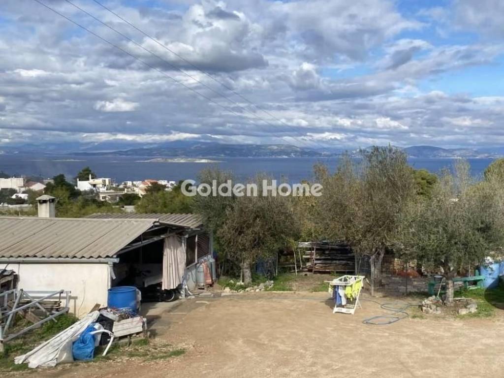 Κυρίως Χώρος