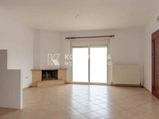 Σαλοκουζίνα