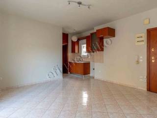 Σαλοκουζίνα