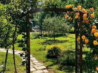 Forumland Real Estate, Κήπος