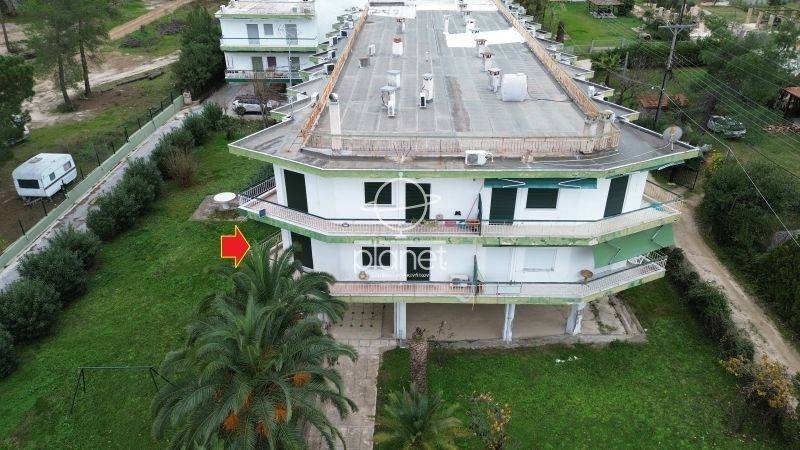 Εξωτερικός χώρος