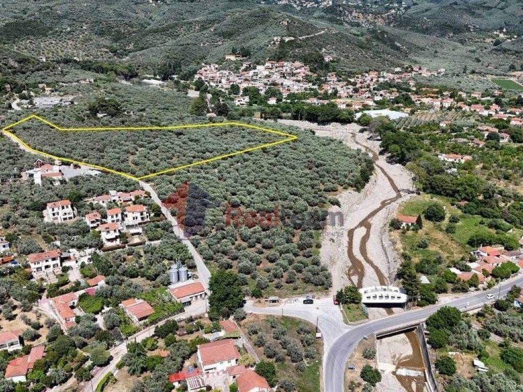 Εξωτερικοι χώροι