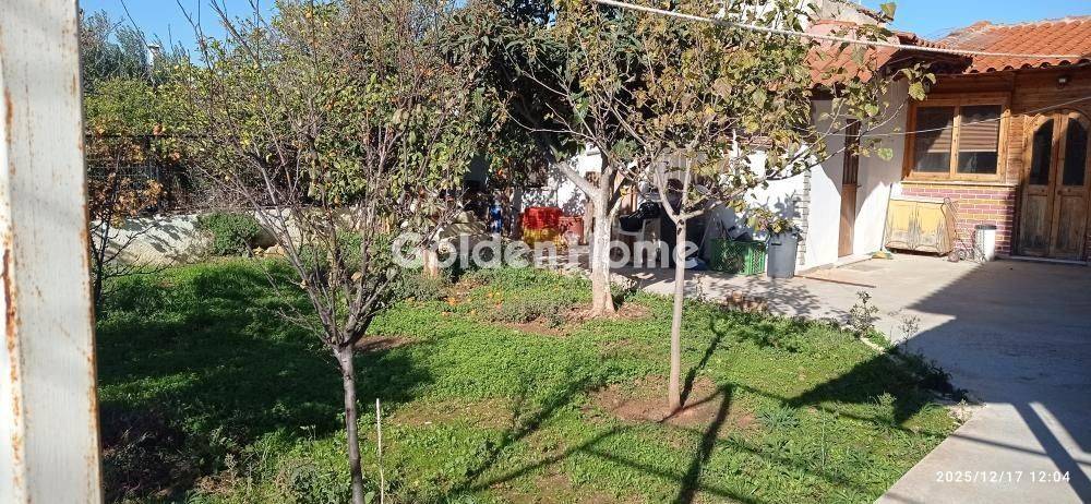 Εξωτερικός Χώρος