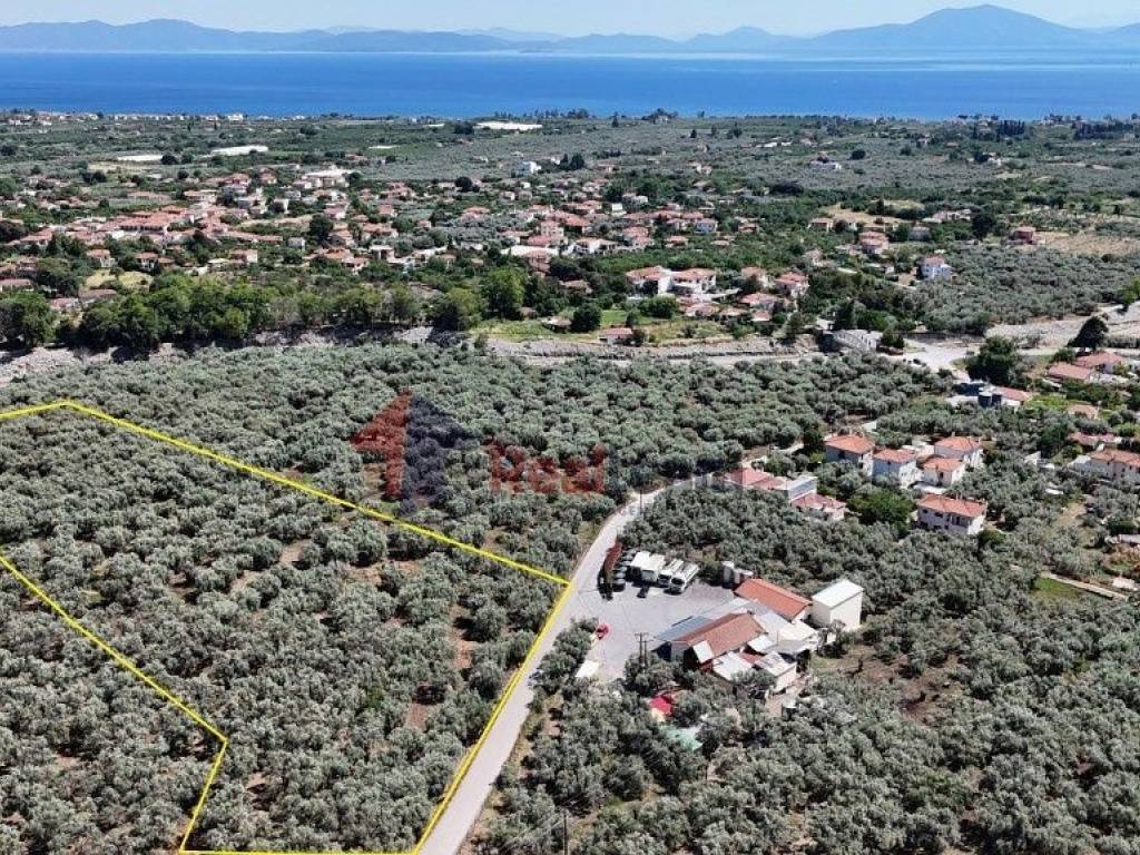 Εξωτερικοι χώροι