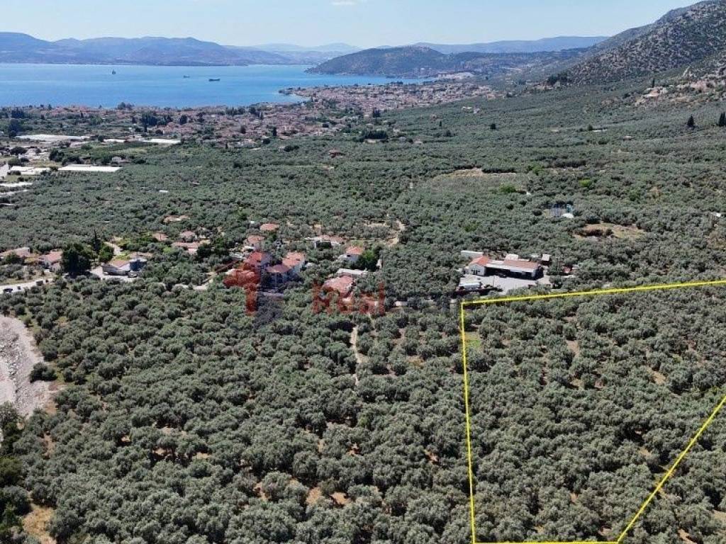 Εξωτερικοι χώροι