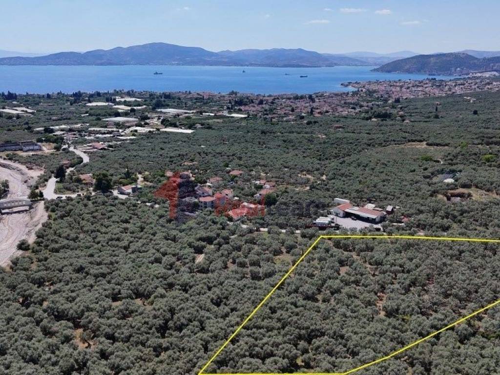 Εξωτερικοι χώροι