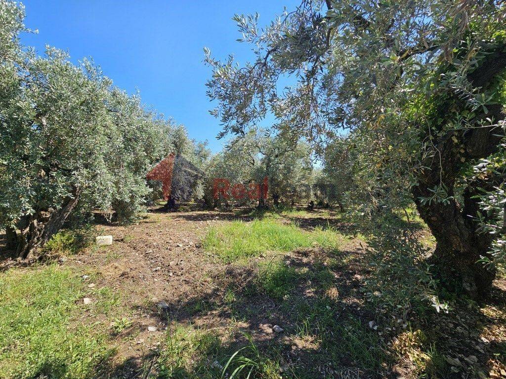 Εξωτερικοι χώροι