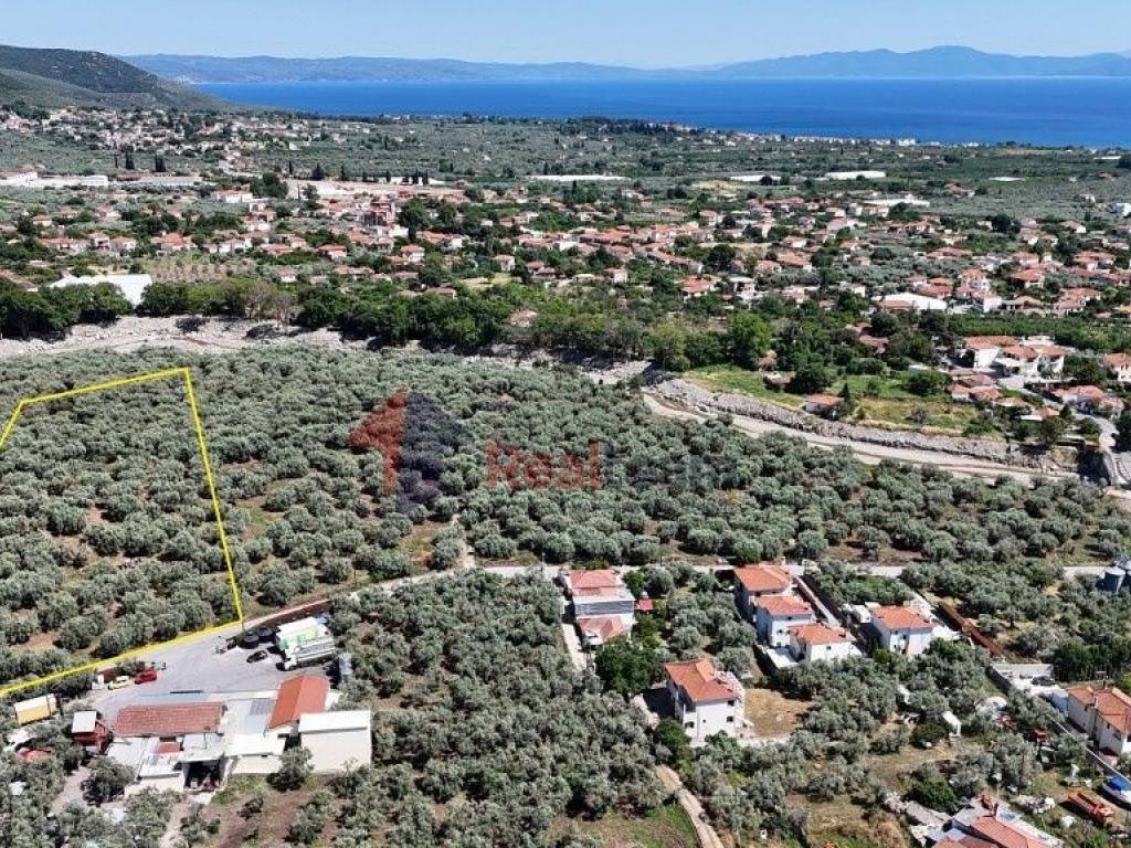 Εξωτερικοι χώροι