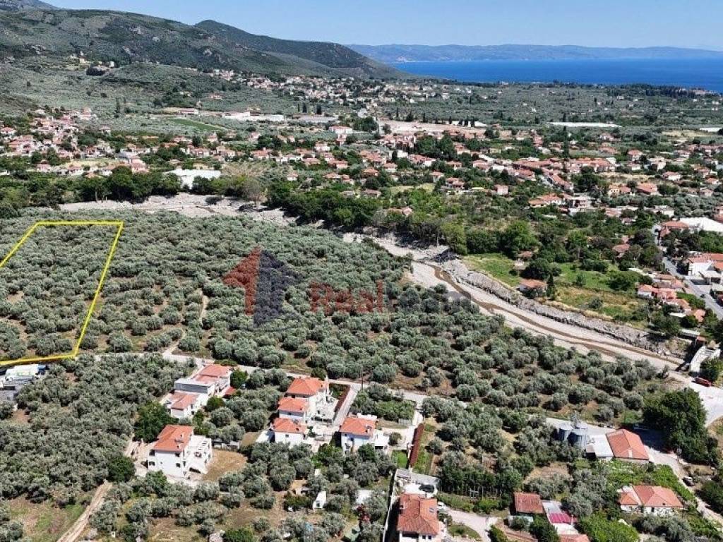 Εξωτερικοι χώροι