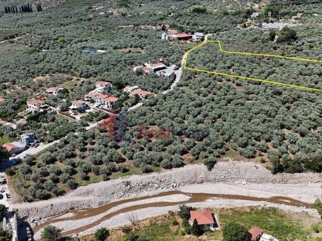 Εξωτερικοι χώροι