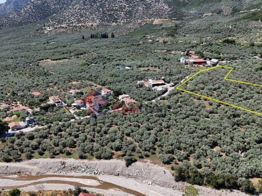 Εξωτερικοι χώροι