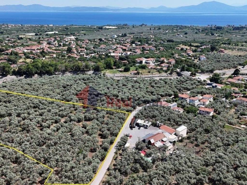 Εξωτερικοι χώροι