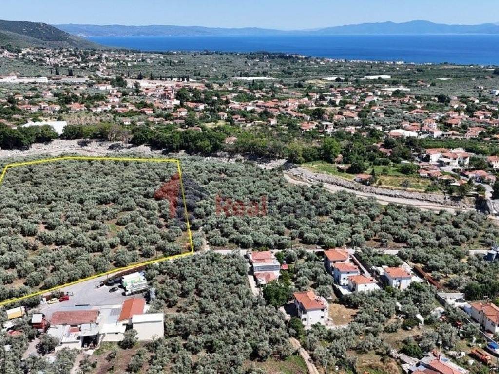 Εξωτερικοι χώροι