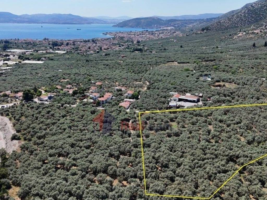 Εξωτερικοι χώροι