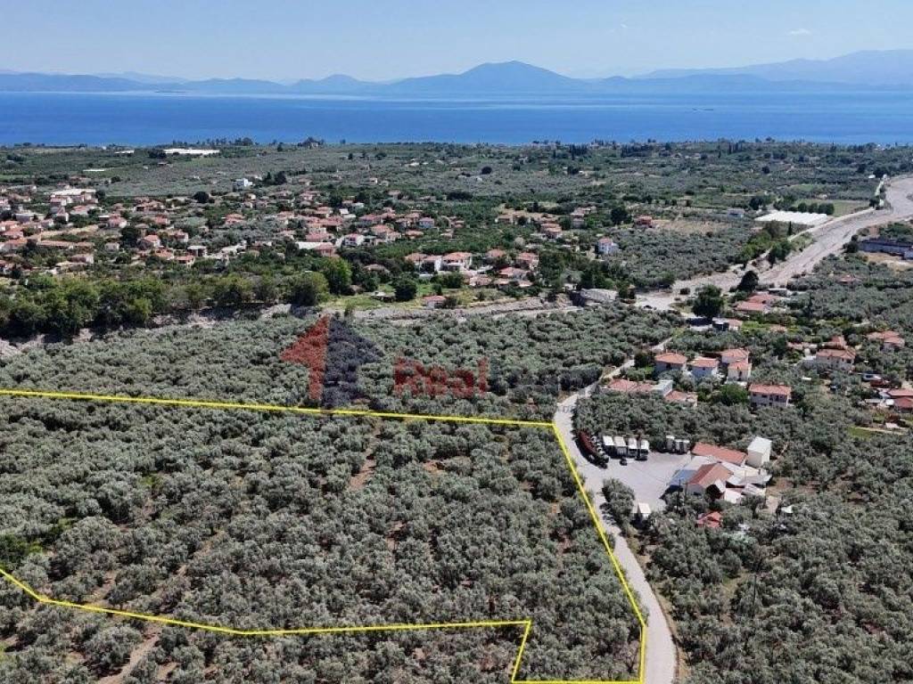 Εξωτερικοι χώροι