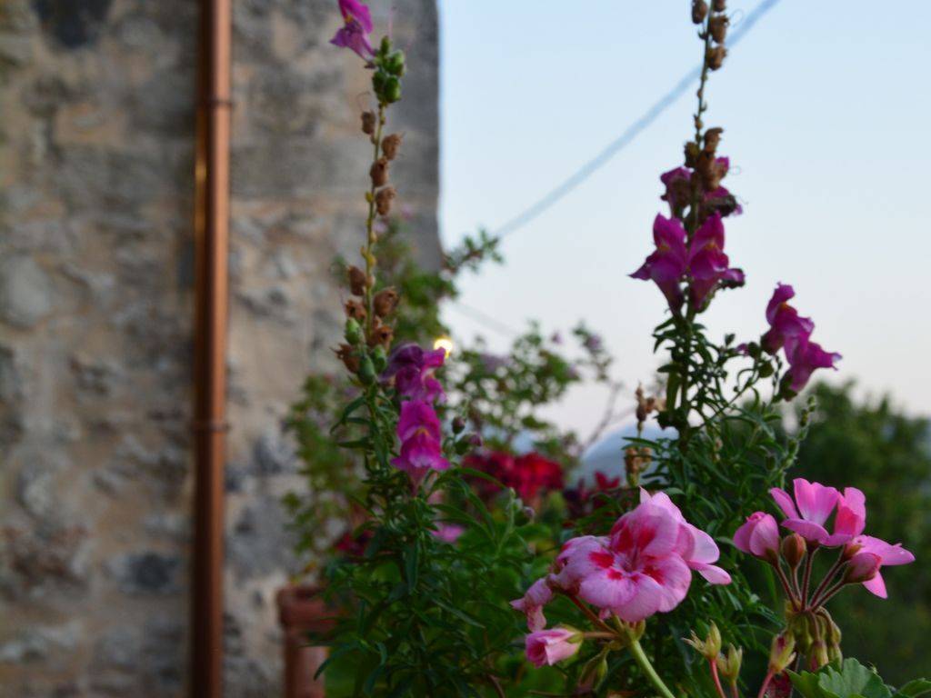 Εξωτερικοι χώροι