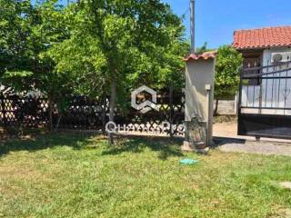 Ύπαρξη ανθρώπου