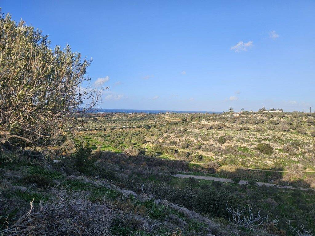 Detached - Grekodom 65129|1039340