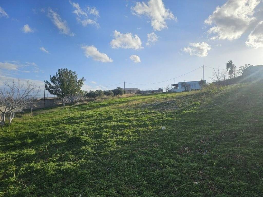 Detached - Grekodom 65129|1039341