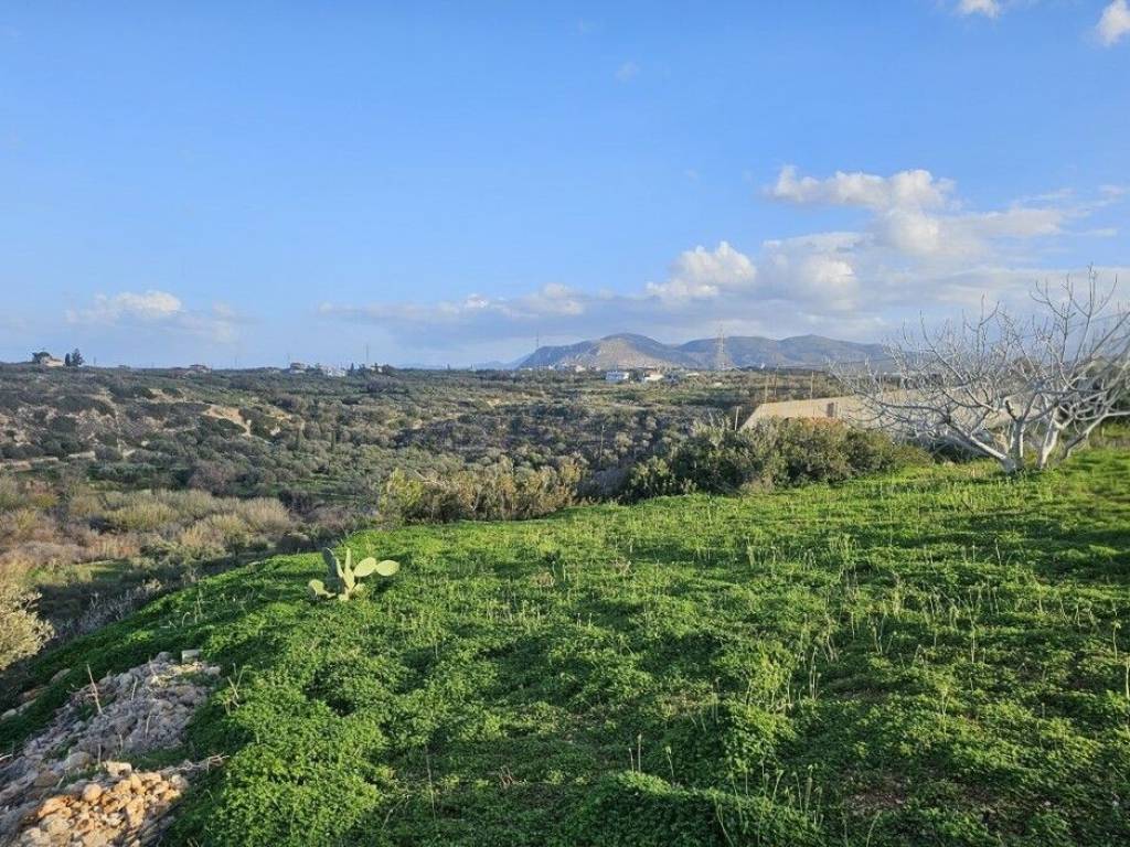 Detached - Grekodom 65129|1039342