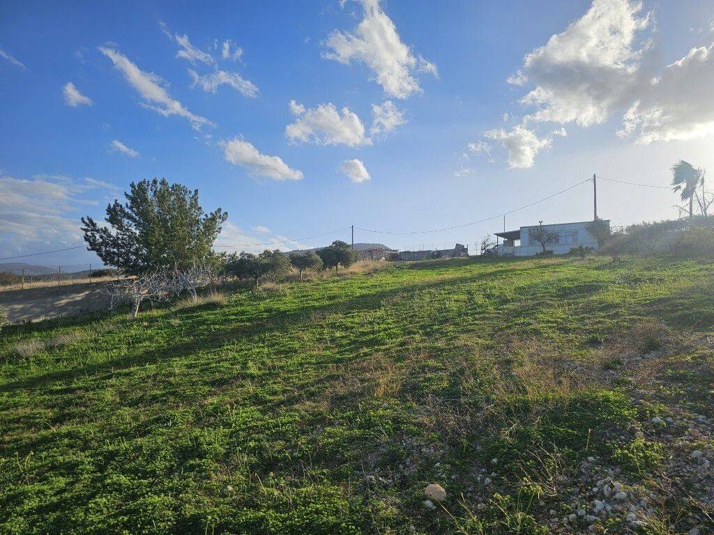 Detached - Grekodom 65129|1039344